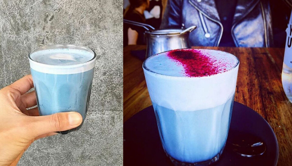 Nya veganska superdrycken – blå latte