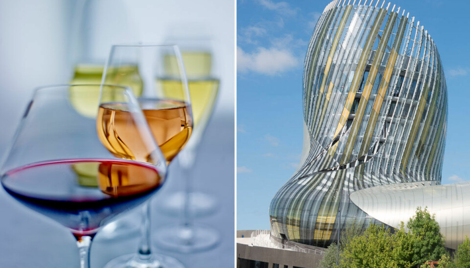 Vinälskare? Här är temaparken som bara handlar om vin