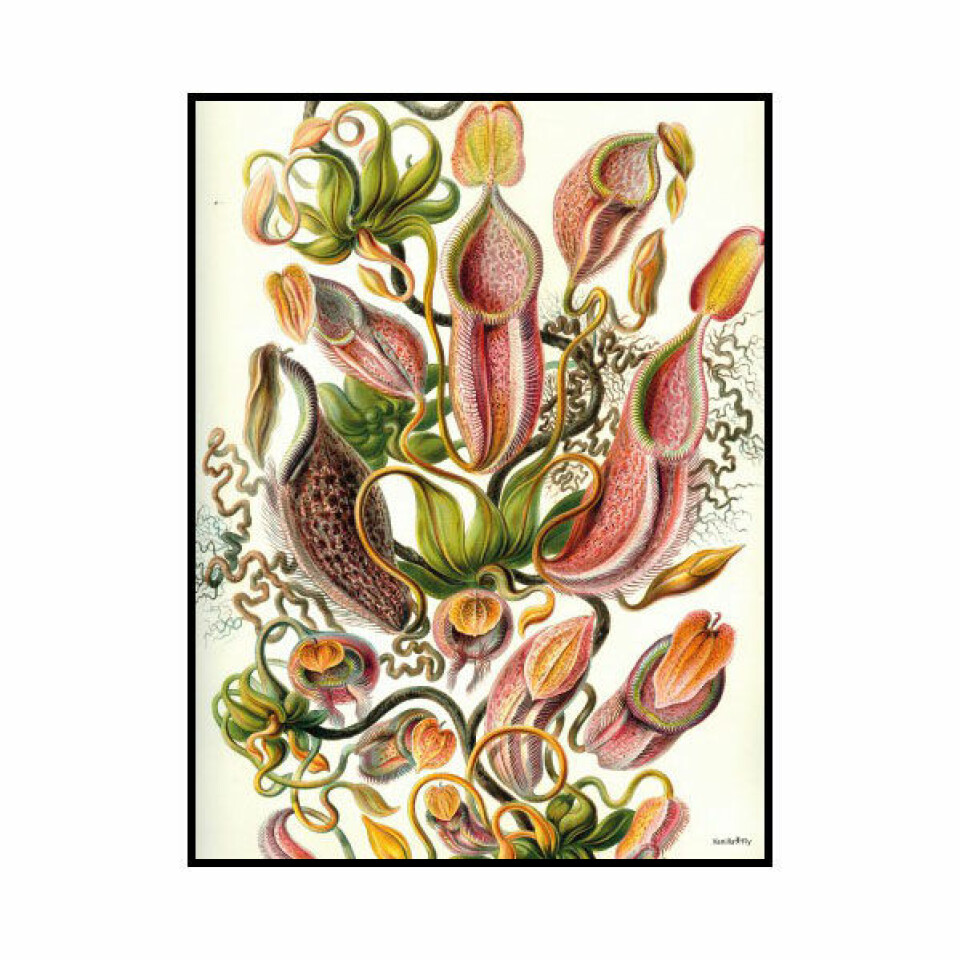 Inredningsdetaljerna som gör hösten ännu mysigare