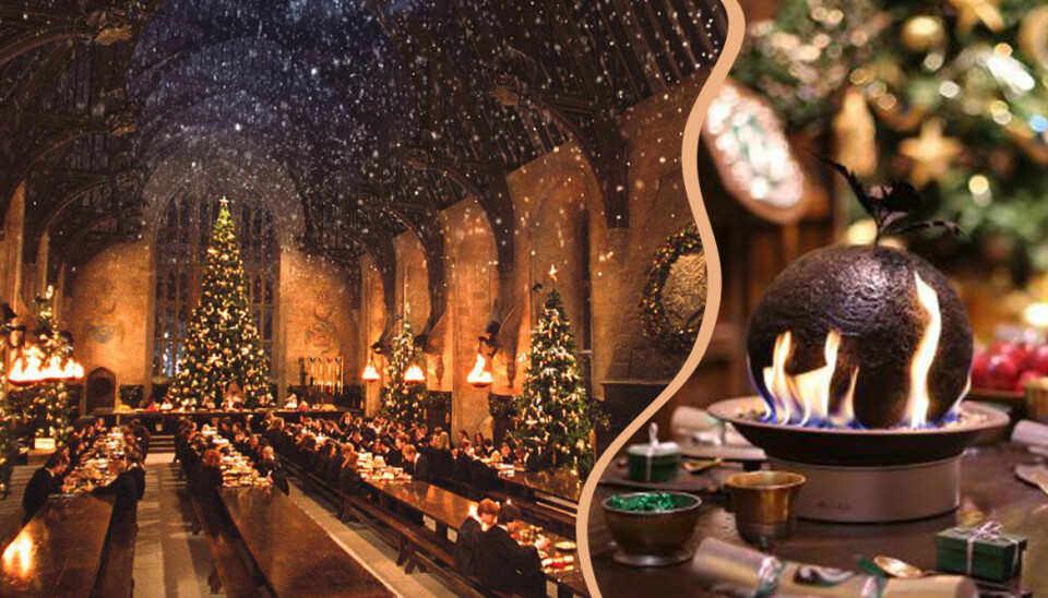 Drömmen är här – nu kan du äta julbord på Hogwarts