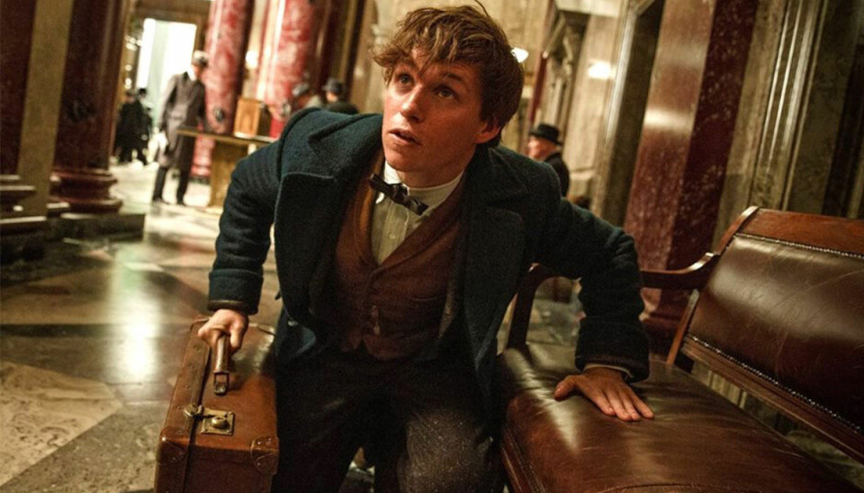 OMG! J.K. Rowling avslöjar spoilers om Fantastiska vidunder-filmerna