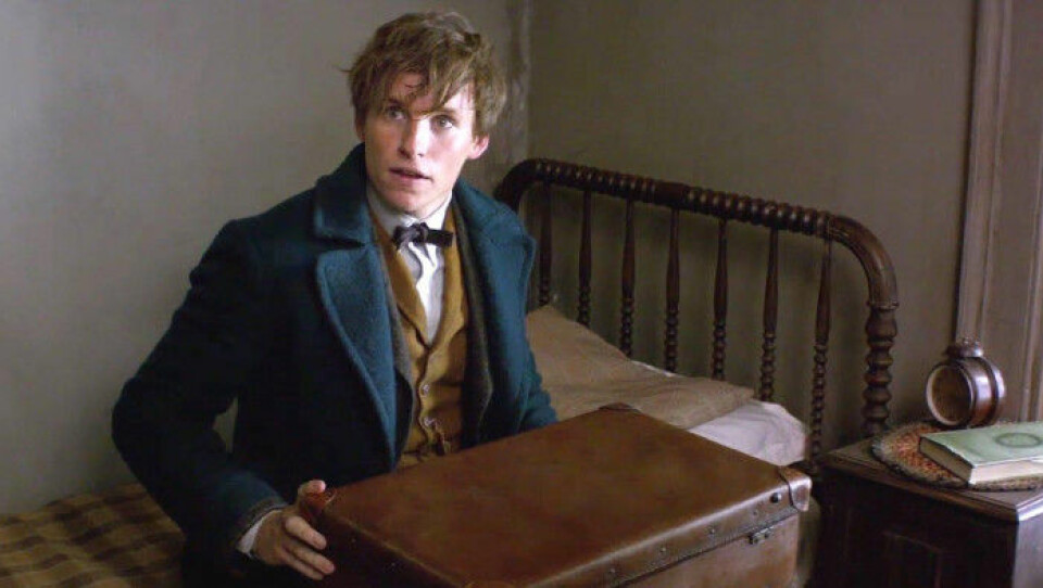 OMG! J.K. Rowling avslöjar spoilers om Fantastiska vidunder-filmerna