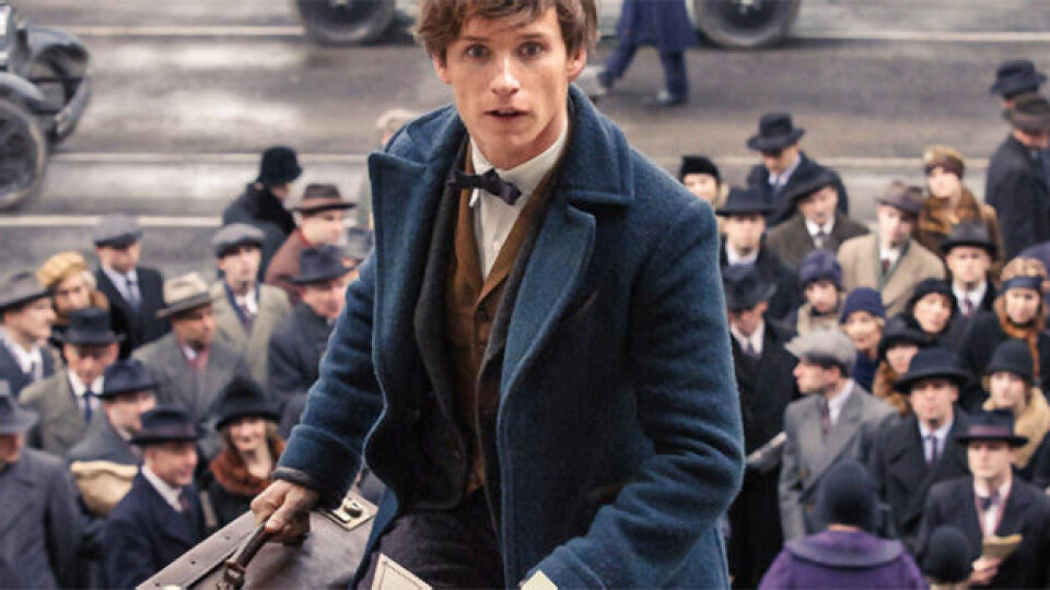 OMG! J.K. Rowling avslöjar spoilers om Fantastiska vidunder-filmerna