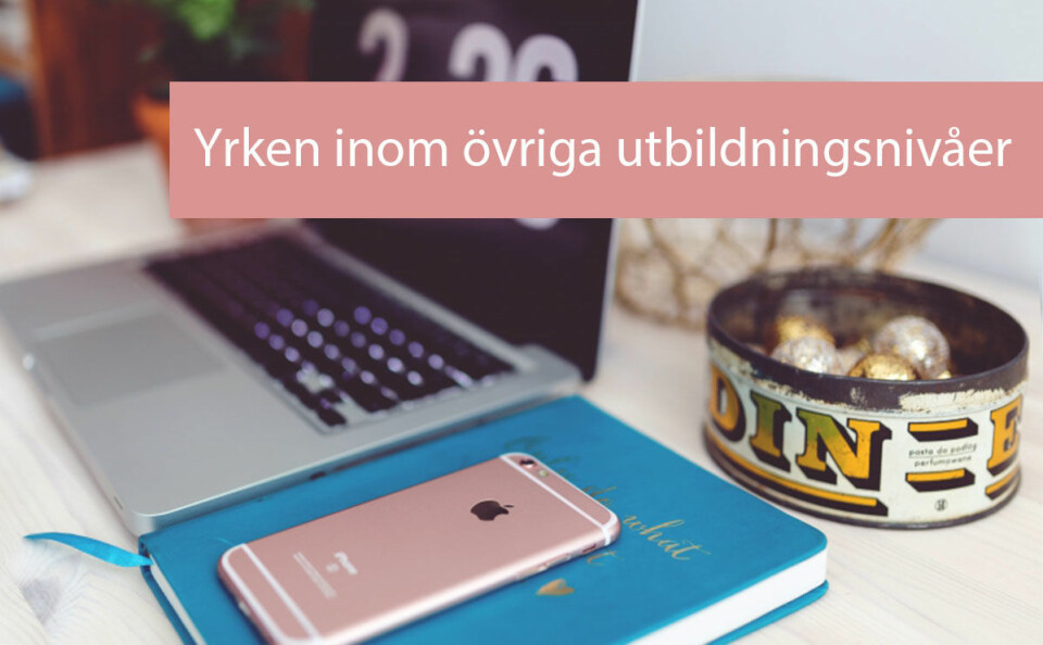 Här är 20 yrken inom övriga utbildningsnivåer där det råder störst brist på arbetskraft (minst konkurrens om jobben) fram till och med första halvåret 2017. Källa: Arbetsförmedlingen.