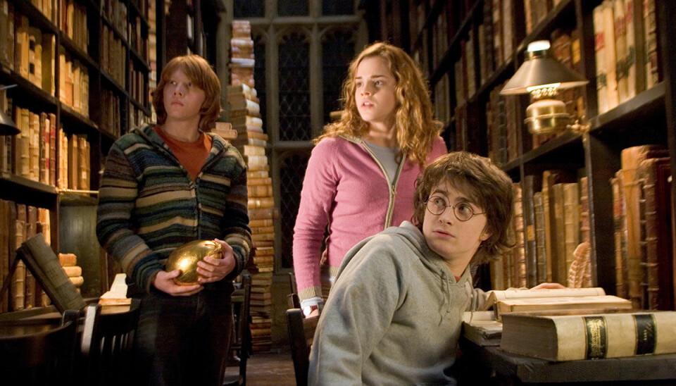 Snart finns det en Harry Potter-festival (som du garanterat kommer vilja gå på!)