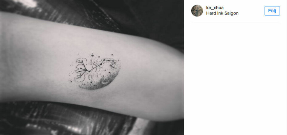 Skorpionen. Foto: @ka_chua