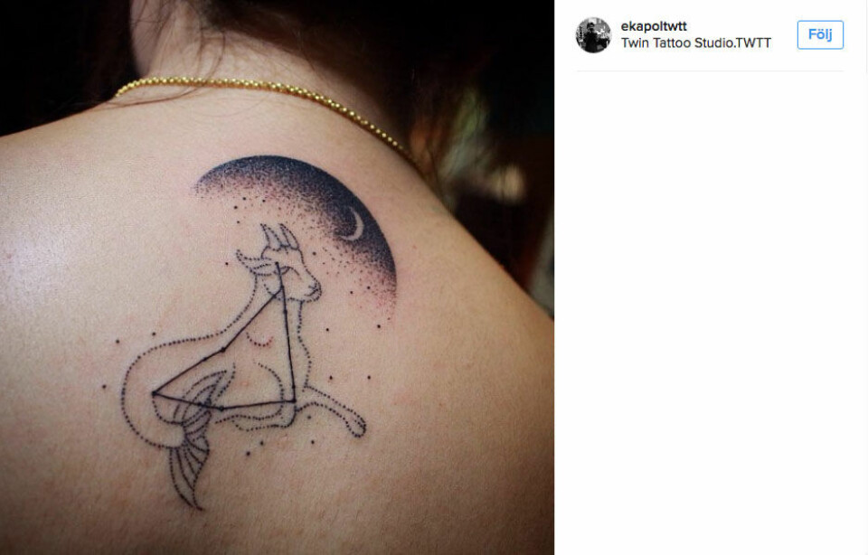 Stenbocken. Foto: @ekapoltwtt