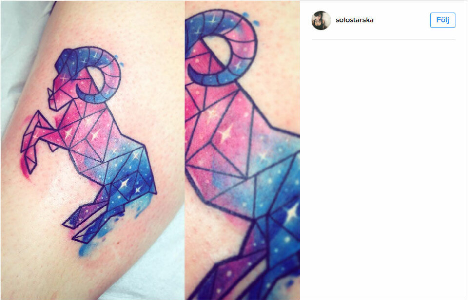 Stenbocken. Foto: @solostarska