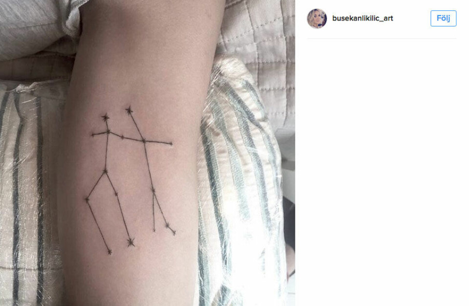 Tvillingarna. Foto: @busekanlikillic_art