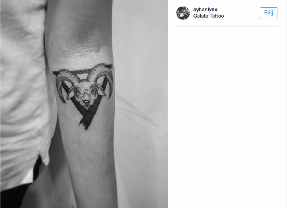 Väduren. Foto: @ayhanlynx