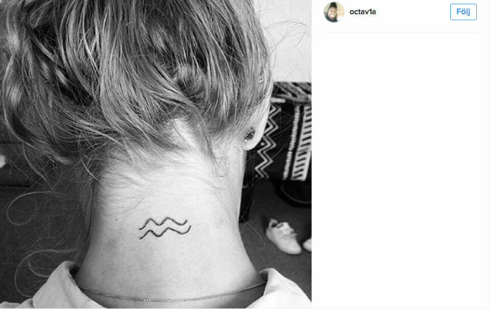 Vattumannen. Foto: @octav1a