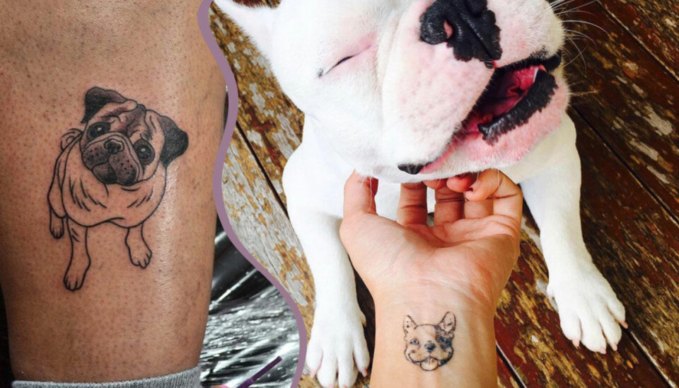 37 tatueringar för dig som älskar hundar