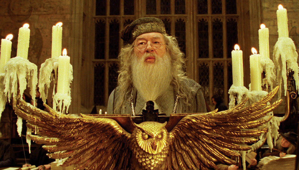 Dumbledore kan bli öppet homosexuell i nya filmerna