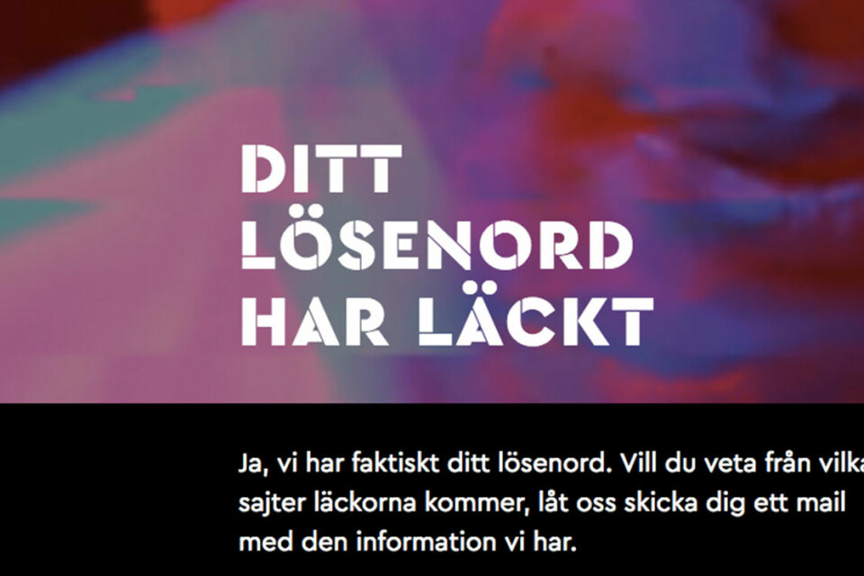 ...eller kanske i rött eller blont hår? ...eller kanske i rött eller blont hår?