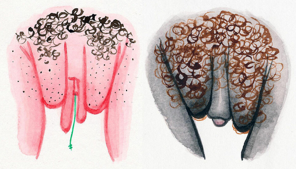 Hon tecknar vulvor – för att uppmuntra kvinnor att tycka om sin snippa