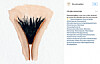 @the.vulva.gallery