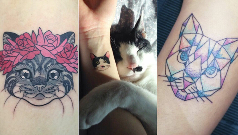 25 tatueringar för dig som älskar katter