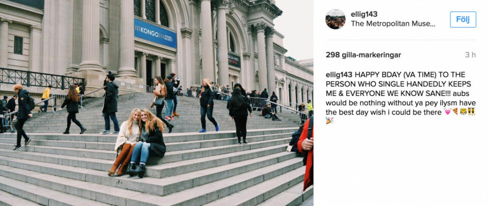 Metropolitan Museum of Art i New York. @ellig143