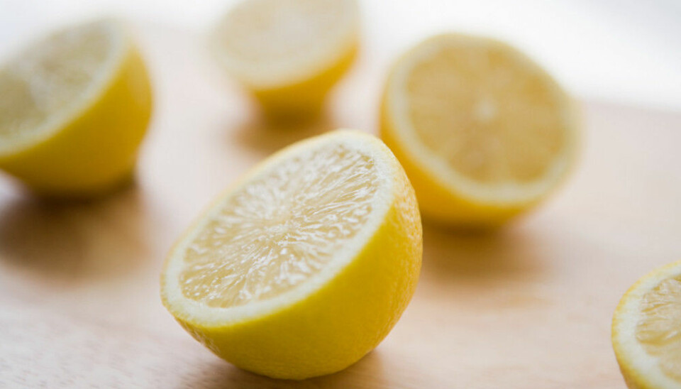 Därför blir du lugnare av att lukta på citron
