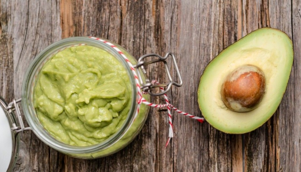 7 saker du förmodligen inte visste om avokado