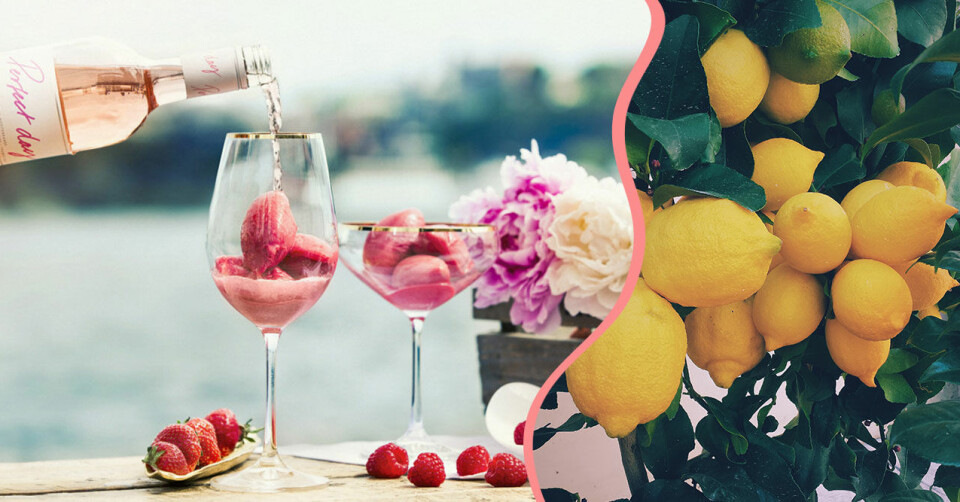 Alkoholfritt, nyttigt eller bara gott – vi har samlat helgens bästa drinkrecept