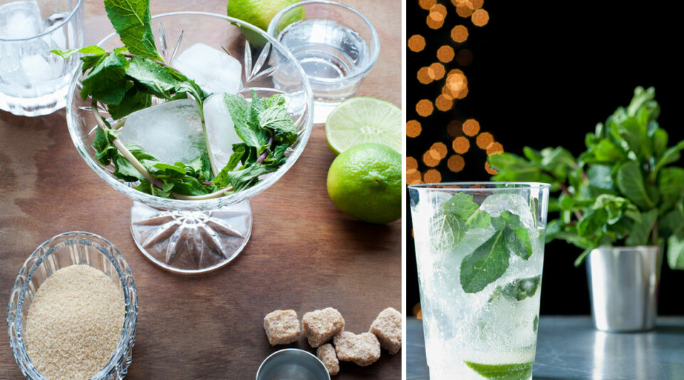 Alkoholfritt, nyttigt eller bara gott – vi har samlat helgens bästa drinkrecept