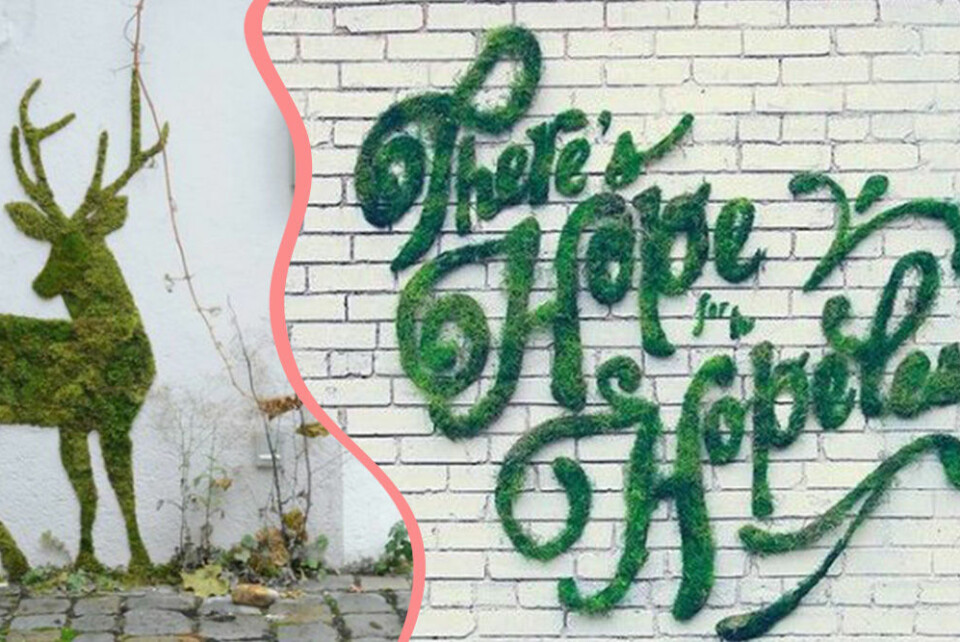 Det du har hemma kan förvandlas till bra skönhetsprodukter. Det du har hemma kan förvandlas till bra skönhetsprodukter.