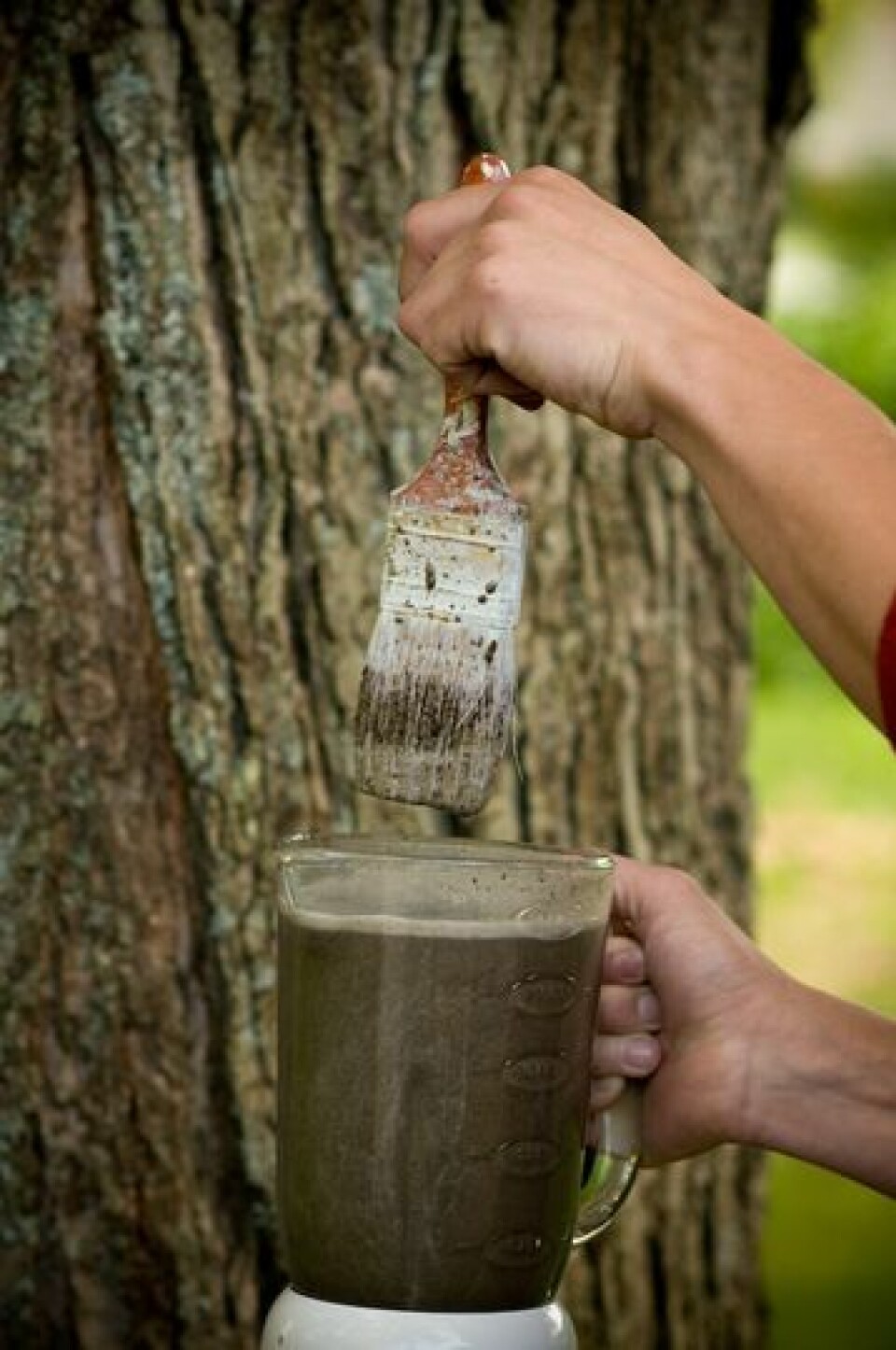 Gör egen graffiti av mossa – 17 bilder som ger inspo