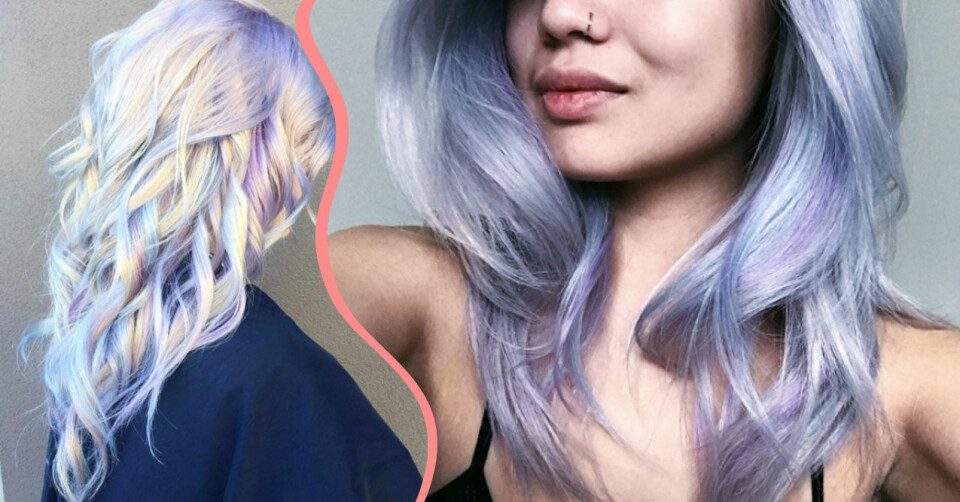Aktienörd, kattgalen eller beautyfantast – här är 17 Facebookgrupper du inte visste fanns