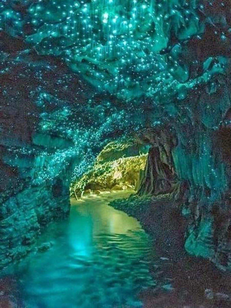 Waitomo, Nya Zeeland. Waitomogrottorna ligger på den norra ön och betyder ”vatten slukhål” på maori. I grottaket finns tusentals lysmaskar som gör grottan till en helt magisk upplevelse.Foto: Pinterest