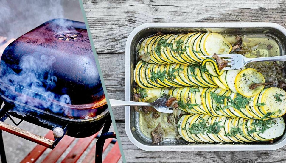 Grilla vego i sommar med zucchini, kantareller och mango