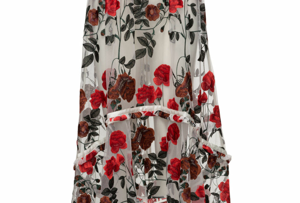 Vad din bena avslöjar om din personlighet (stämmer det in på dig?)