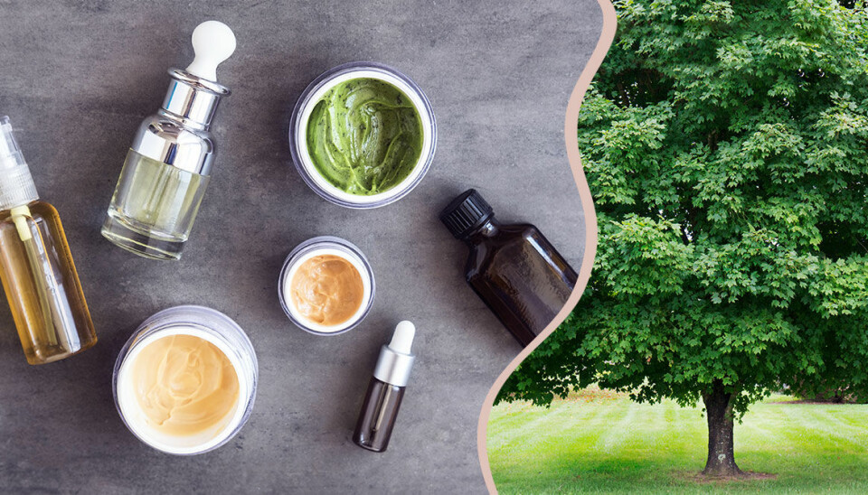 Gröna lögner eller sanning? 9 påståenden (och svar) om ekobeauty