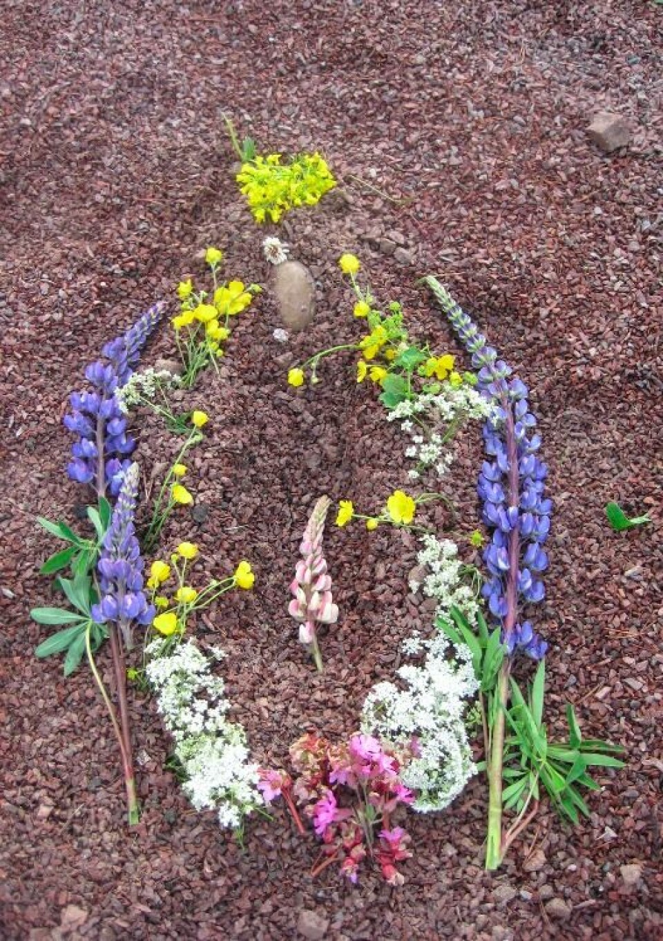 Glöm midsommarstång – så gör du en midsommarfitta