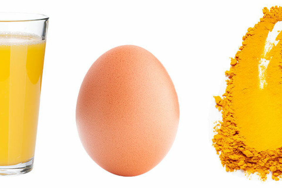 Maria Montazami med sin hund Bella. Maria Montazami med sin hund Bella.