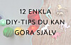 Klicka dig vidare i bildspelet f&ouml;r att se alla diy-tips.