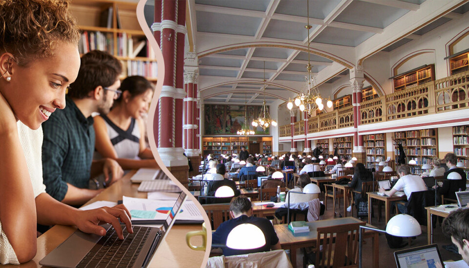 Mer pengar, mer ledigt, mer fest – 8 överlevnadstips för att glida genom universitetet