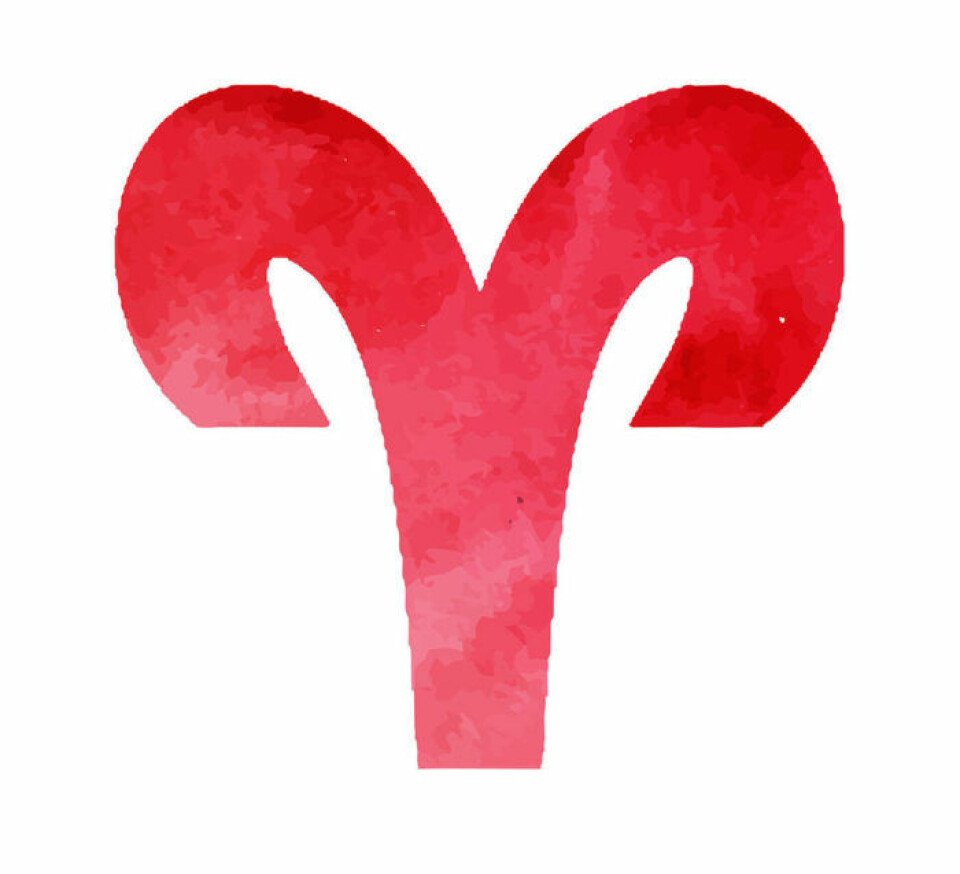 Premiär för Baaams horoskop! Det säger stjärnorna om ditt september