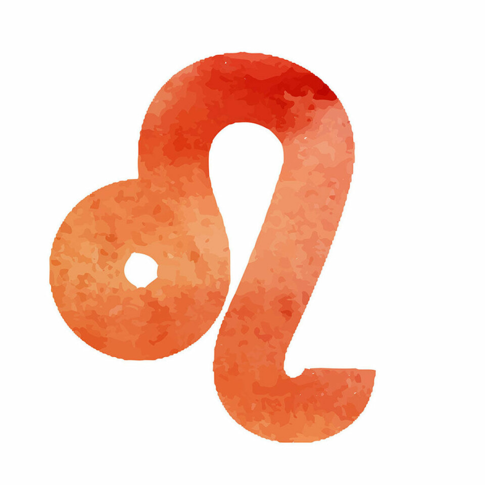 Premiär för Baaams horoskop! Det säger stjärnorna om ditt september