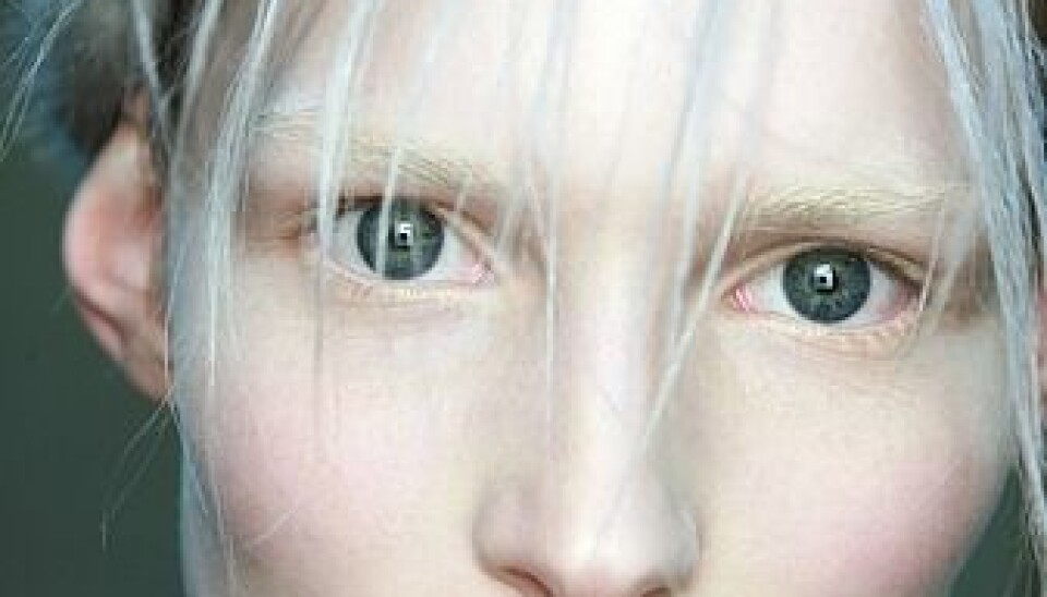 5 tongivande visningar som sportar Non Brows i höst