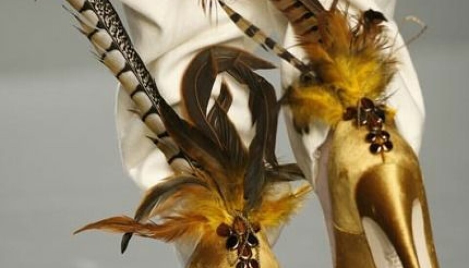 Säsongens 5 vackraste och knäppaste skor på catwalken