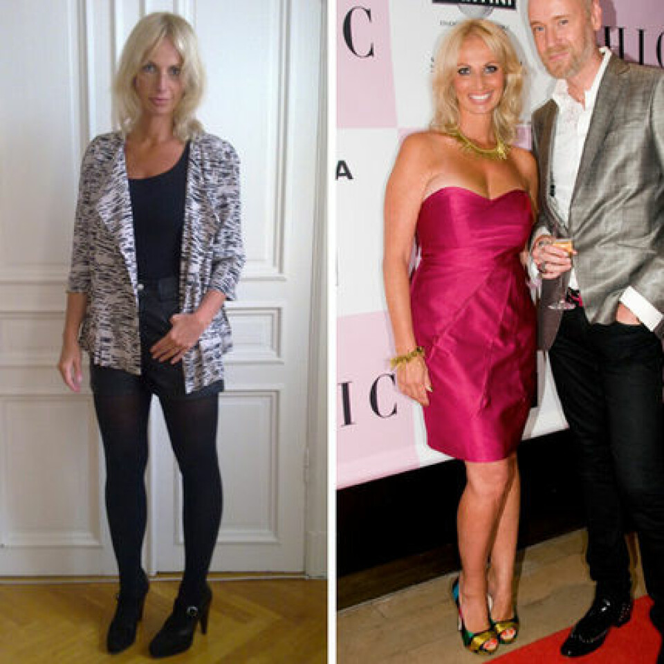 Shoppingtips: 15 stora julstjärnor att hänga i fönstret