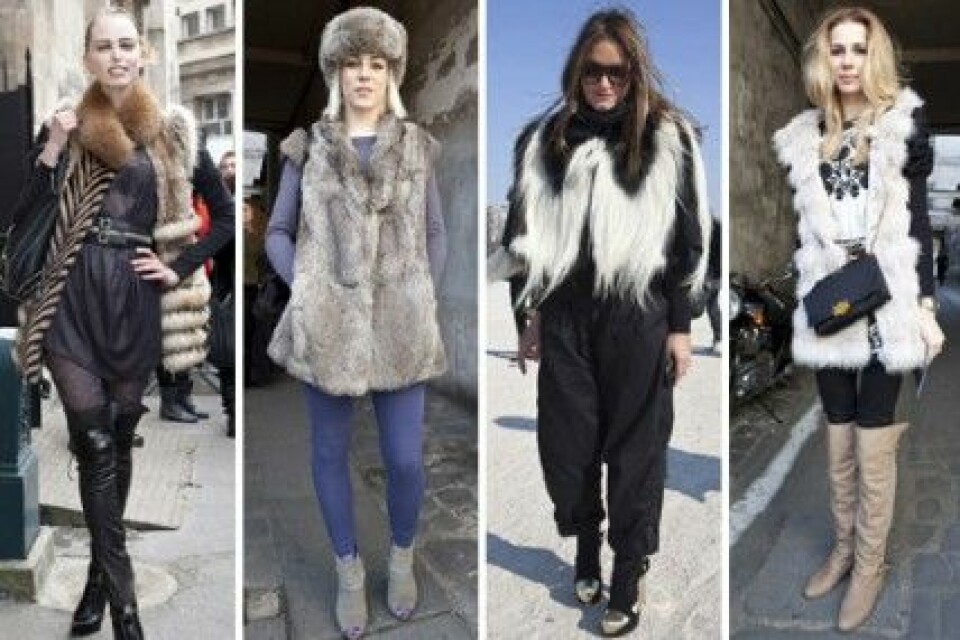 Pälsvästar under Paris Fashion Week, A/W 2010. Pälsvästar under Paris Fashion Week, A/W 2010.