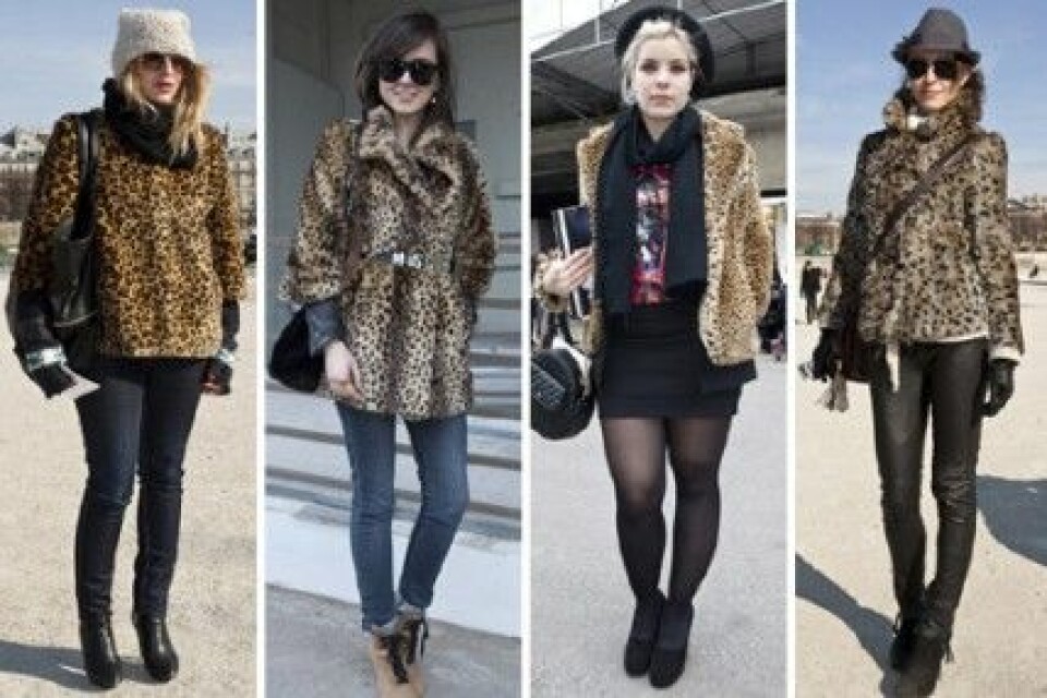 Leopardmönstrade fuskpälsar under Paris Fashion Week, A/W 2010. Leopardmönstrade fuskpälsar under Paris Fashion Week, A/W 2010.