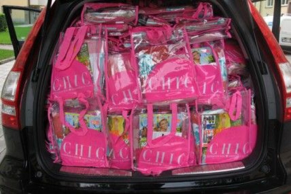 Vill du också ha en chic goodiebag? Skriv en kommentar nedan! Vill du också ha en chic goodiebag? Skriv en kommentar nedan!