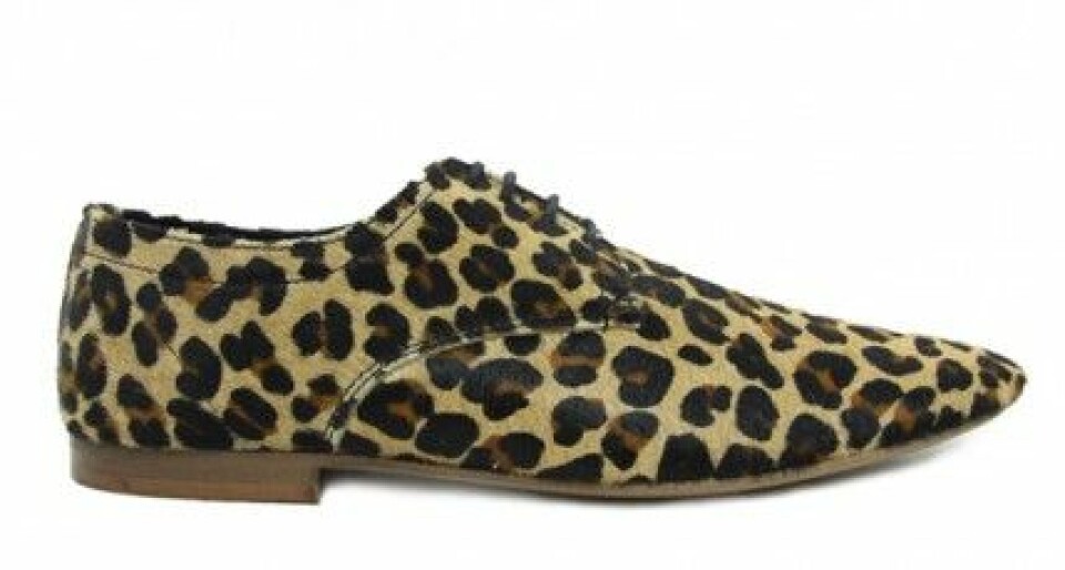 Shoppa trenden: Leopardmönstrat