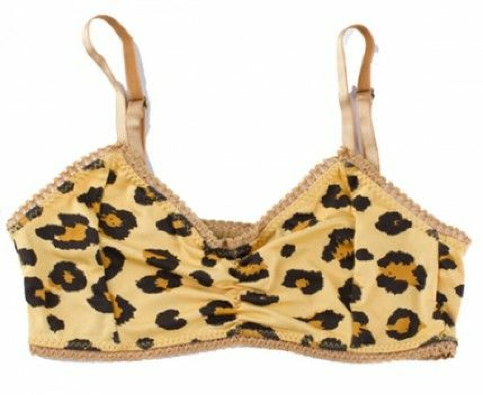 Shoppa trenden: Leopardmönstrat