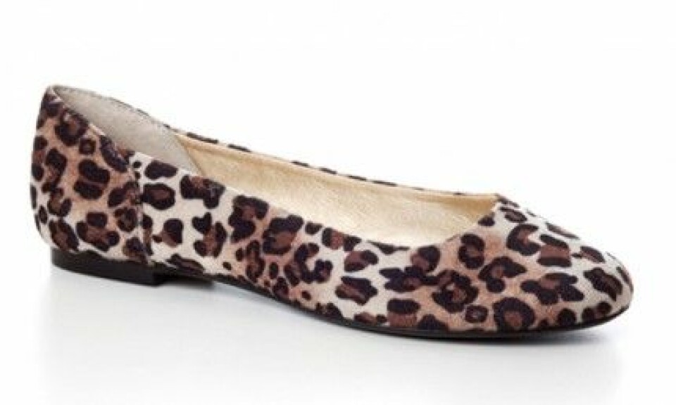 Shoppa trenden: Leopardmönstrat