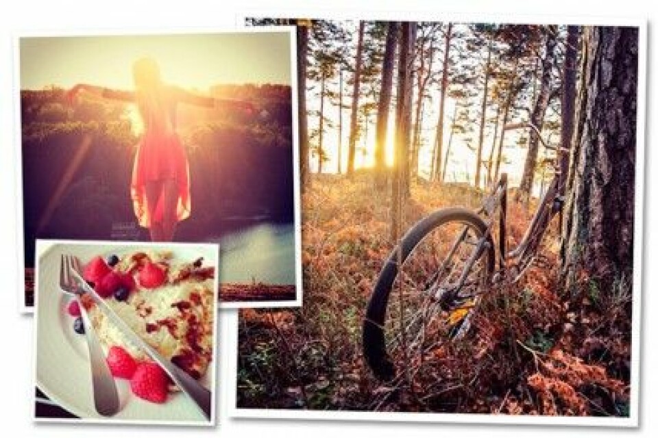 Bilder som Christoffer, Julia och Frida har lagt upp på Instagram. Bilder som Christoffer, Julia och Frida har lagt upp på Instagram.