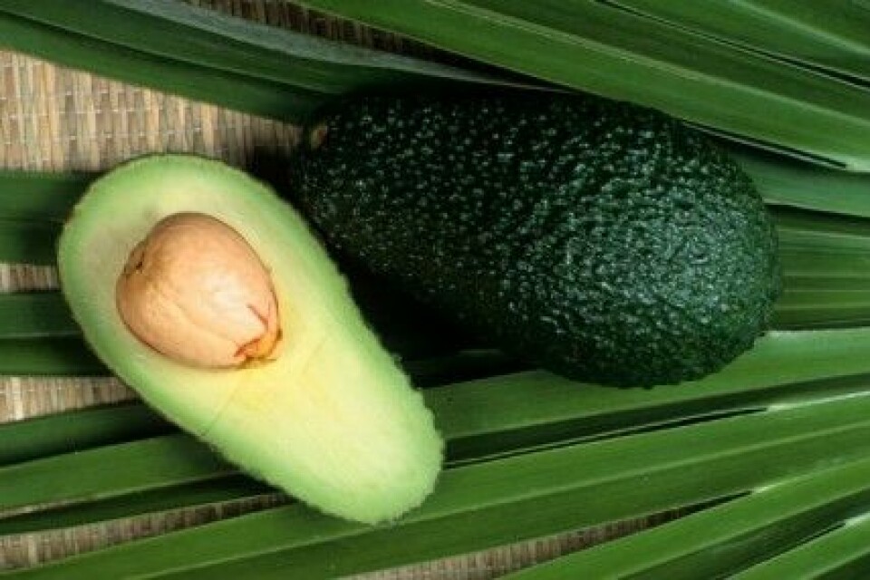 Avokado kan få ditt hår att växa snabbare. Avokado kan få ditt hår att växa snabbare.